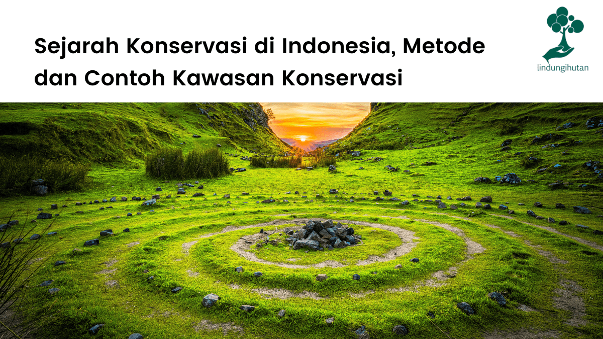 Sejarah konservasi di Indonesia.
