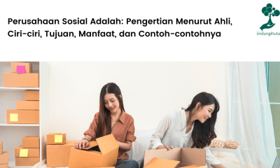 apa itu social enterprise?