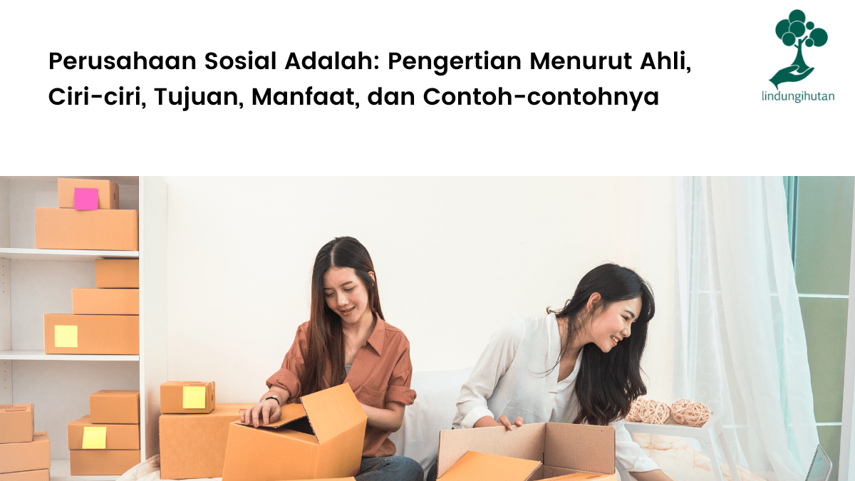 apa itu social enterprise?