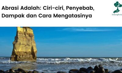 Pengertian abrasi, ciri-ciri, penyebab, dampak dan cara mengatasi abrasi.