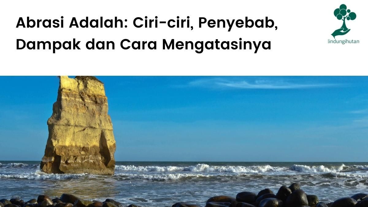 Pengertian abrasi, ciri-ciri, penyebab, dampak dan cara mengatasi abrasi.