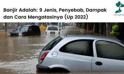 Pengertian banjir, jenis-jenis banjir dan cara mengatasinya.