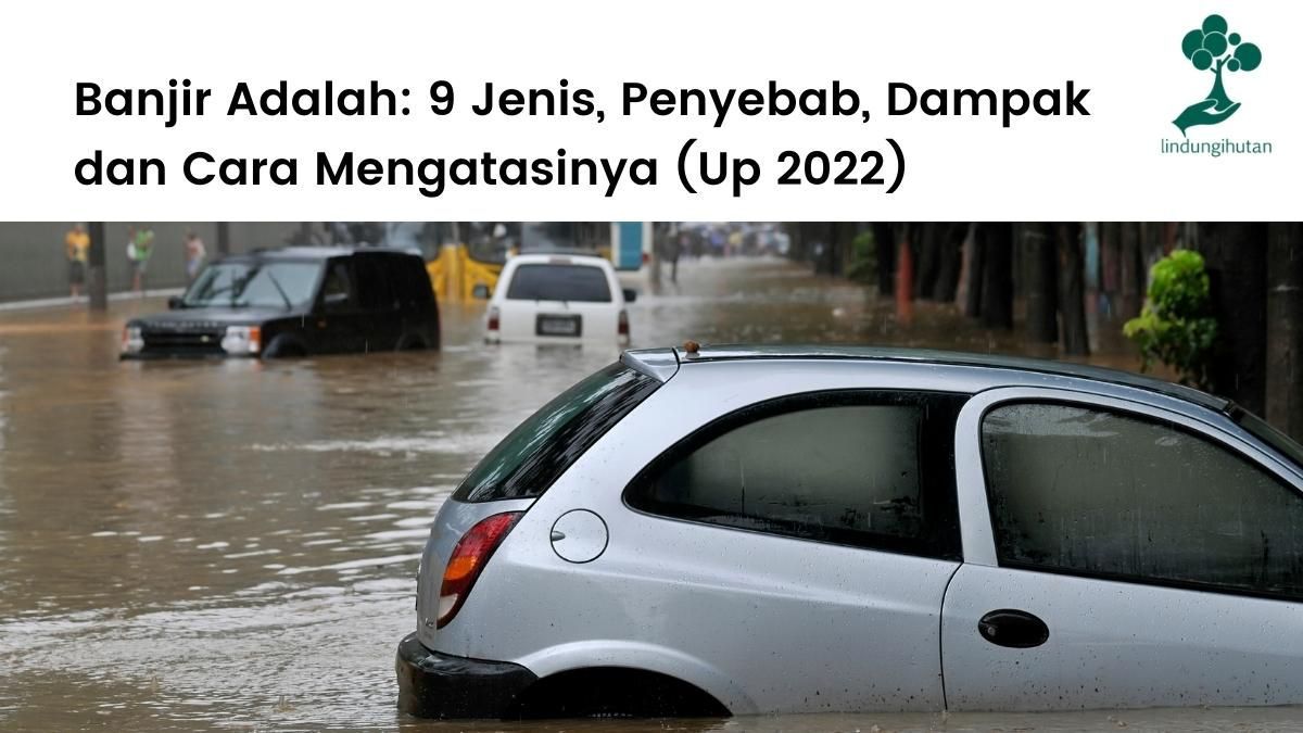 Pengertian banjir, jenis-jenis banjir dan cara mengatasinya.