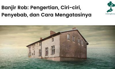 Pengertian banjir rob, ciri-ciri, penyebab, dampak dan cara mengatasi rob.