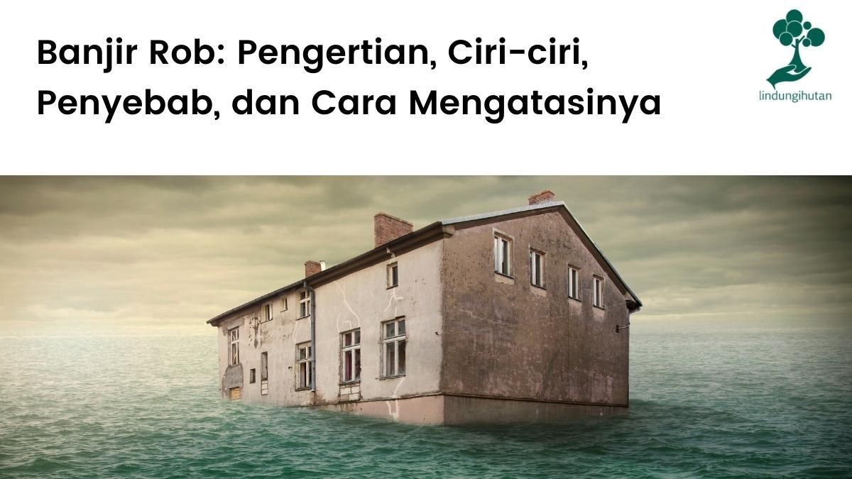 Pengertian banjir rob, ciri-ciri, penyebab, dampak dan cara mengatasi rob.
