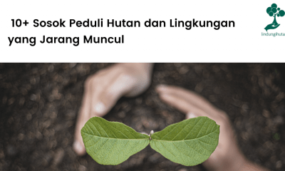 10 Sosok Peduli Hutan dan Lingkungan yang Jarang Muncul