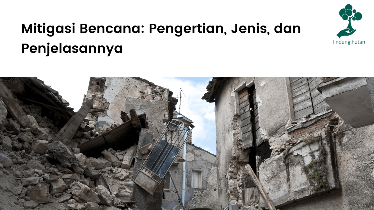 Mitigasi Bencana: Pengertian, Jenis, dan Penjelasannya