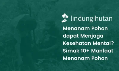 Manfaat menanam pohon