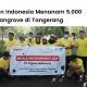 Program CSR Pigeon Indonesia menanam ribuan mangrove di Tangerang.