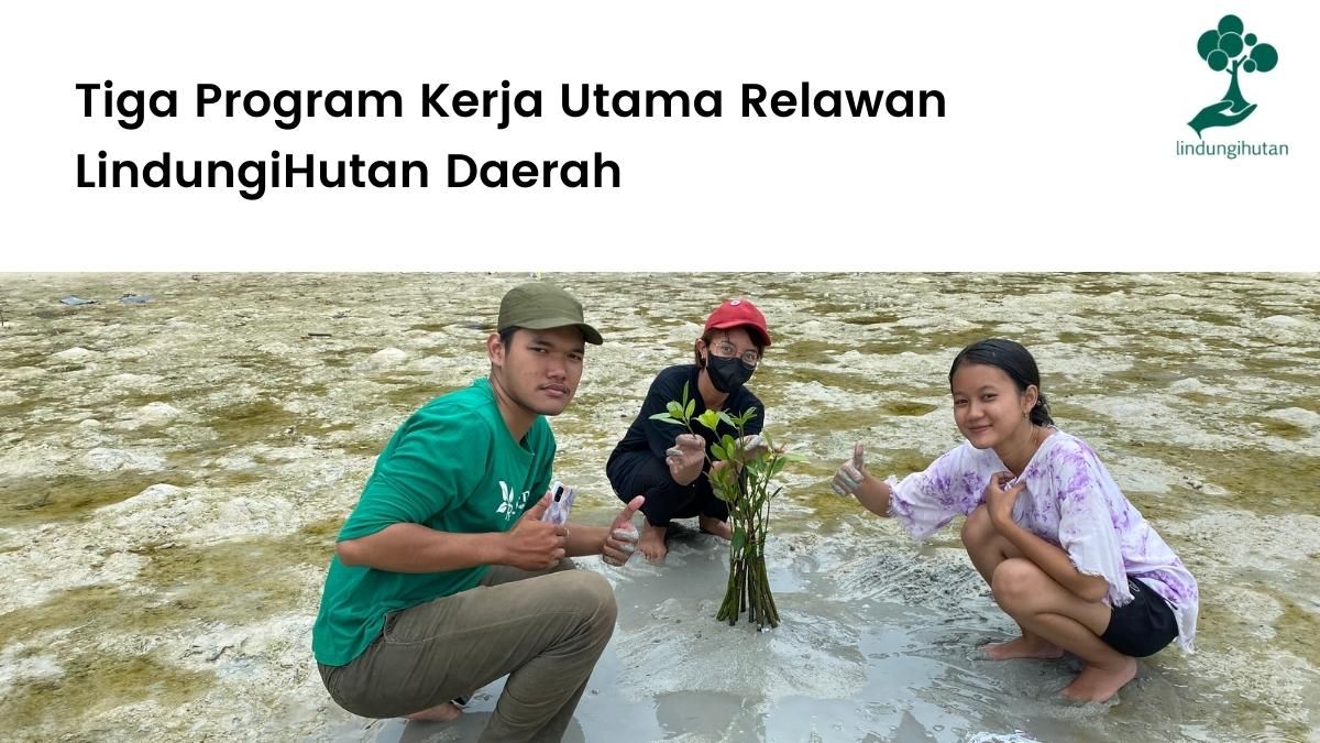 Program kerja relawan LindungiHutan daerah.