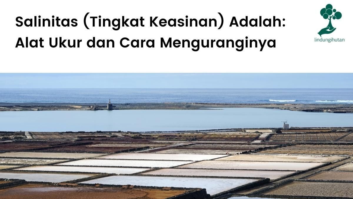 Pengertian salinitas, faktor yang mempengaruhi, alat ukur dan cara mengurangi tingkat keasinan.