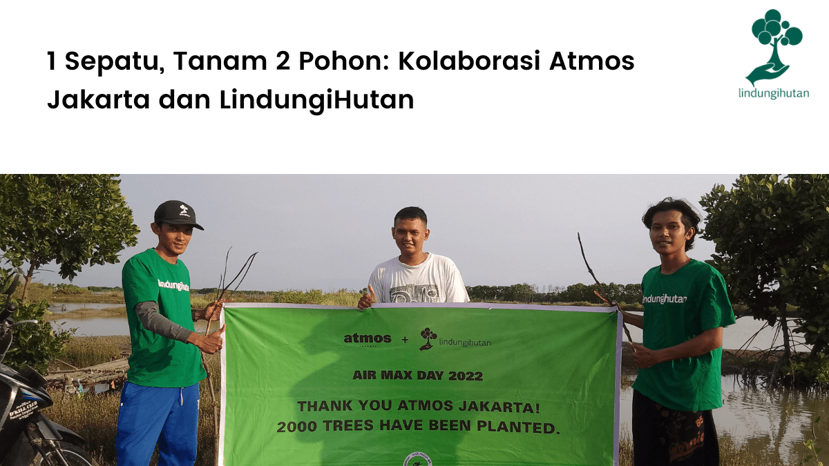 Atmos Jakarta dan LindungiHutan berkolaborasi menanam mangrove