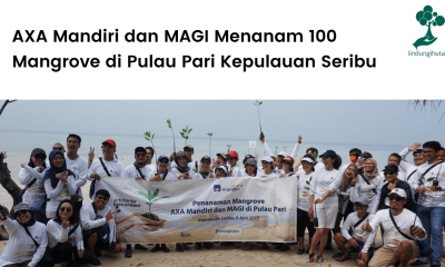 AXA Mandiri dan MAGI Menanam 100 Mangrove di Pulau Pari Kepulauan Seribu (2)