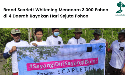 Scarlett Whitening menjalin kerjasama dengan LindungiHutan untuk melakukan penghijauan pada Hari Sejuta Pohon.