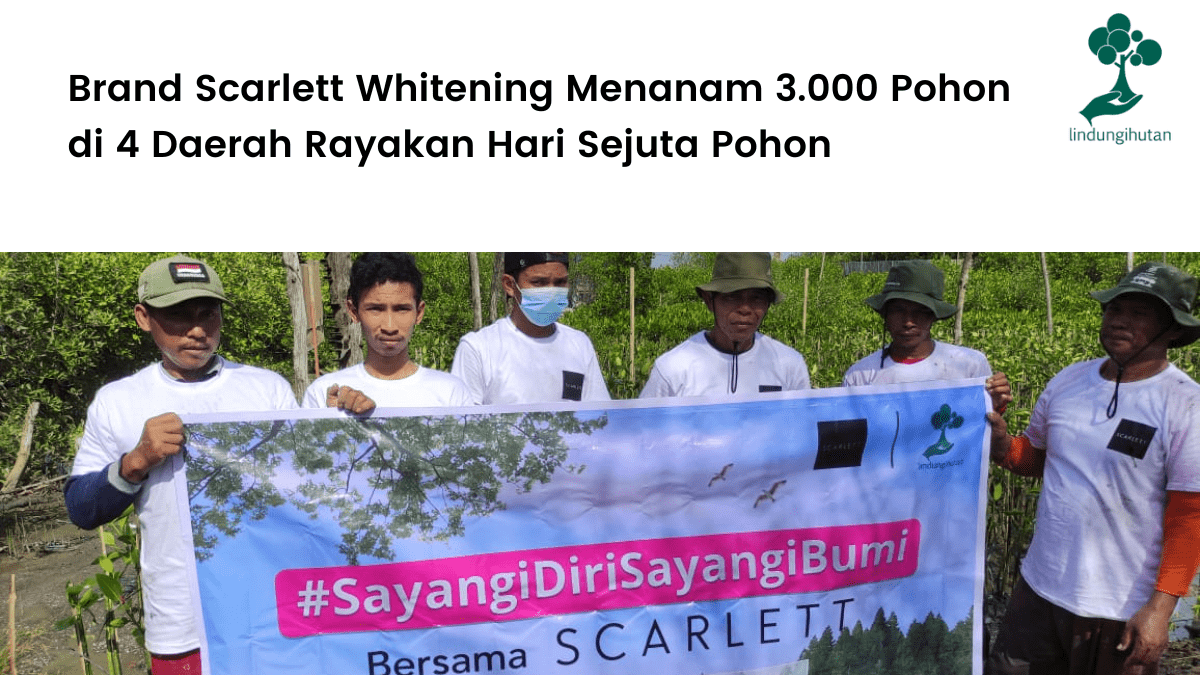 Scarlett Whitening menjalin kerjasama dengan LindungiHutan untuk melakukan penghijauan pada Hari Sejuta Pohon.