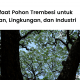 Manfaat pohon trembesi unutk manusia dan lingkungan.