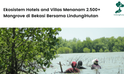 Ekosistem Hotels and Villas Menanam 2.500+ Mangrove di Bekasi Bersama LindungiHutan