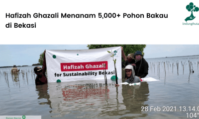 Hafizah Ghazali Menanam 5,000+ Pohon Bakau di Bekasi. Cover Image Blog LindungiHutan (5)