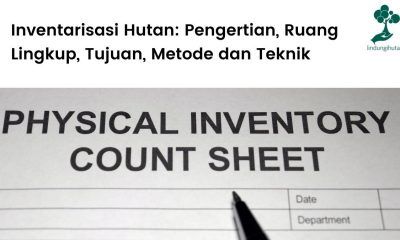 Inventarisasi hutan.