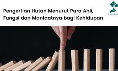 Pengertian hutan menurut ahli.