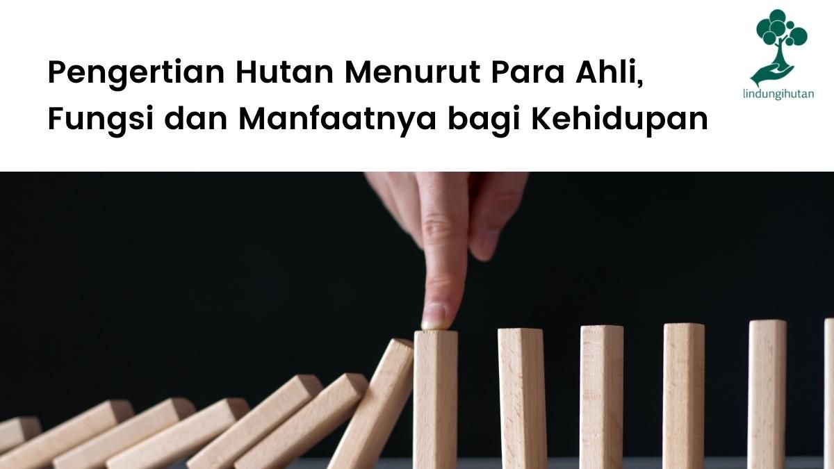 Pengertian hutan menurut ahli.