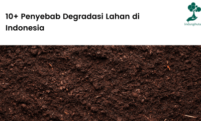 10+ Penyebab degradasi lahan