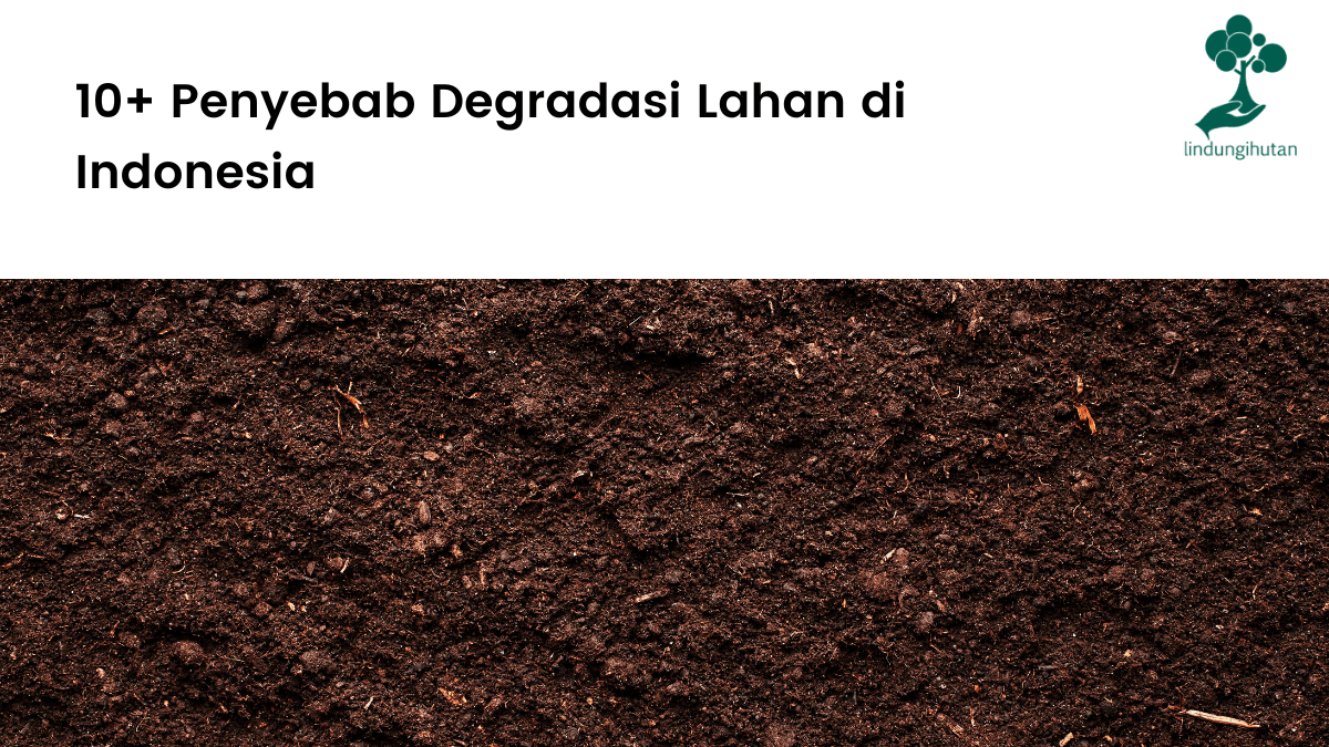 10+ Penyebab degradasi lahan