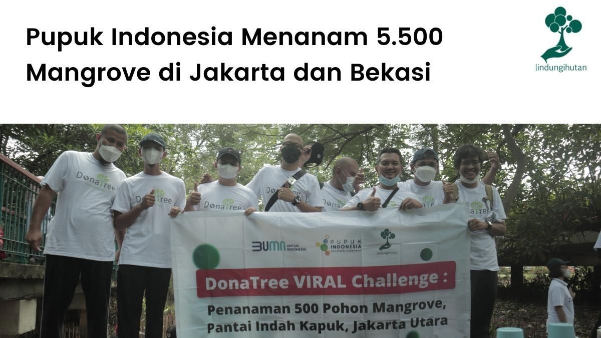Pupuk Indonesia menjalankan program CSR lingkungan dengan menanam mangrove bersama LindungiHutan di Jakarta dan Bekasi.