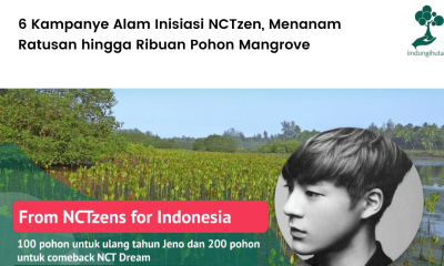 6 Kampanye Alam Inisiasi NCTzen, Menanam Ratusan hingga Ribuan Pohon Mangrove.