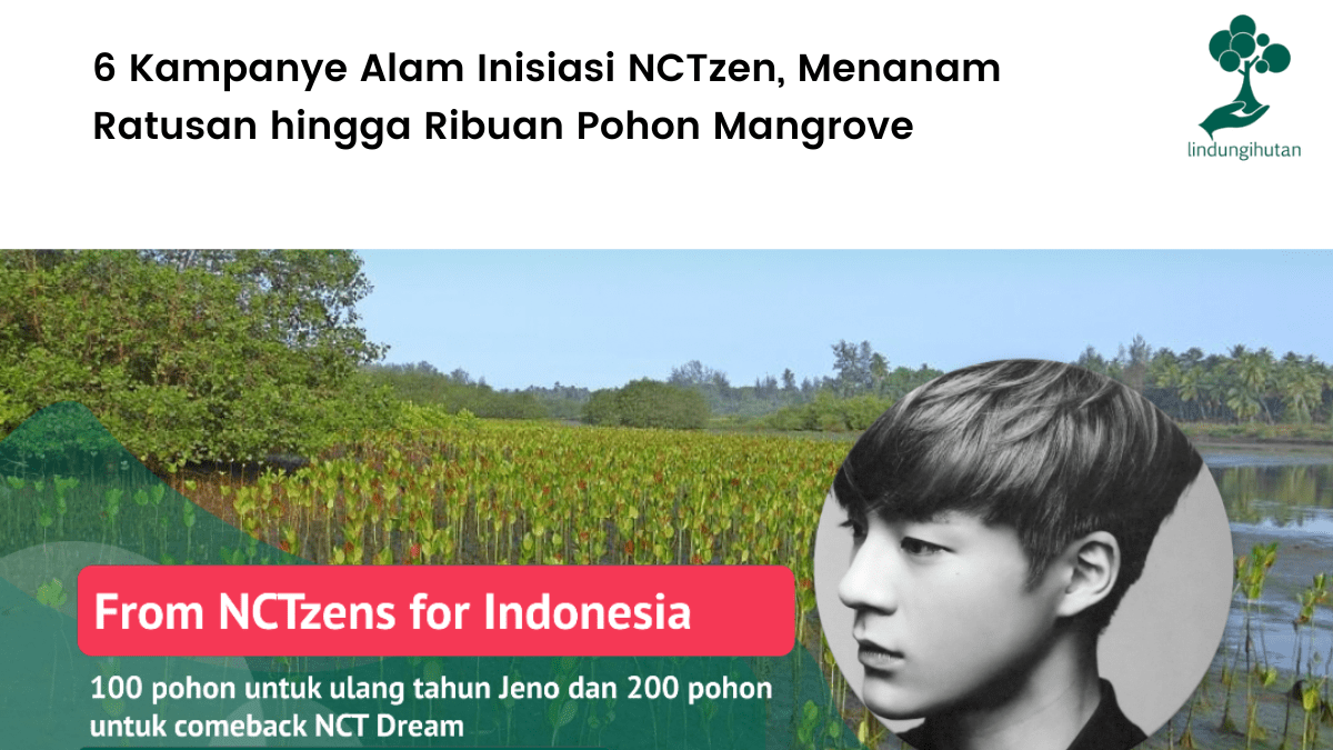 6 Kampanye Alam Inisiasi NCTzen, Menanam Ratusan hingga Ribuan Pohon Mangrove.