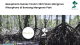 LindungiHutan dan Beauphoria berkolaborasi untuk menanam mangrove di Bontang, Kaltim.