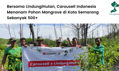 Bersama LindungiHutan, Carousell Indonesia Menanam Pohon Mangrove di Kota Semarang Sebanyak 500+.