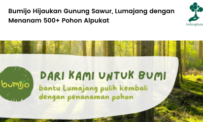 Kerjasama Bumijo dan LindungiHutan untuk proses penghijauan di Gunung Sawur, Lumajang, Jawa Timur.