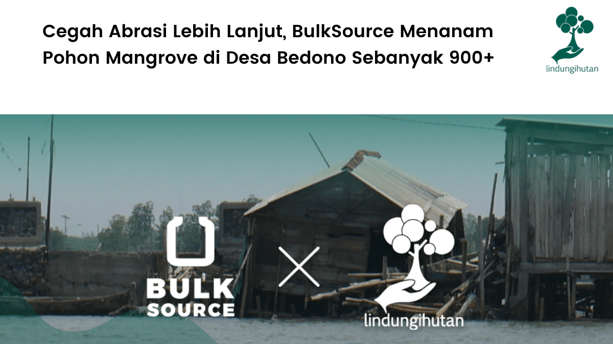 BulkSource bersama LindungiHutan tanam ratusan mangrove di Demak.