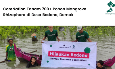 CoreNation Tanam 700+ Pohon Mangrove Rhizophora di Desa Bedono, Demak.