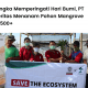 Bureau Veritas Menanam Pohon Mangrove Sejumlah 500+.