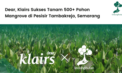 Dear, Klairs Sukses Tanam 500+ Pohon Mangrove di Pesisir Tambakrejo, Semarang.