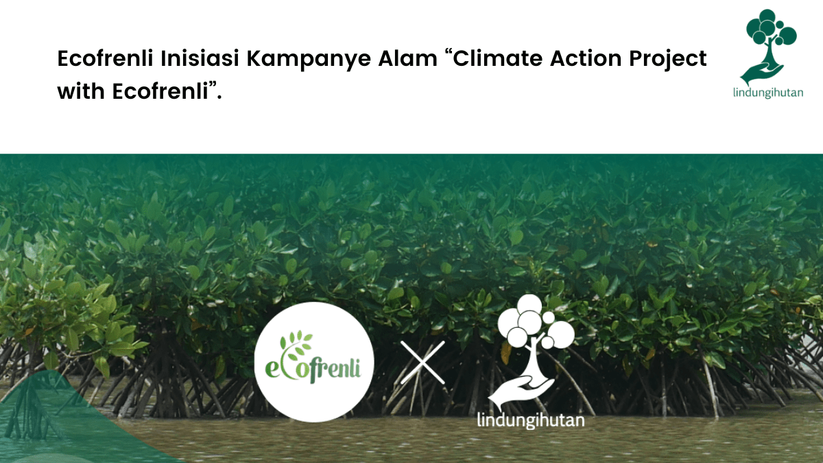 Ecofrenli tanam 300 mangrove di Semarang, Jawa Tengah.