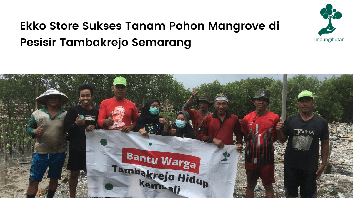 Ekko Store Sukses Tanam Pohon Mangrove di Pesisir Tambakrejo Semarang.