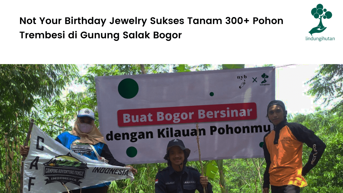 Not Your Birthday Jewelry Sukses Tanam 300+ Pohon Trembesi di Gunung Salak Bogor.