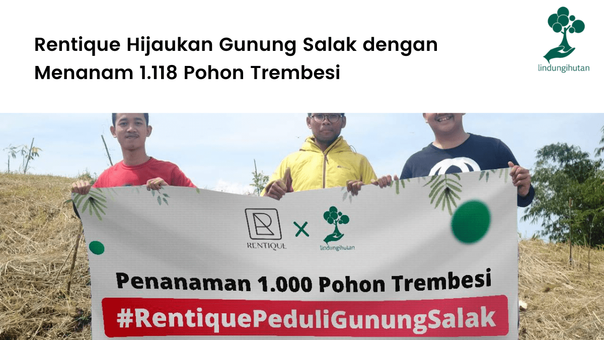 Rentique Hijaukan Gunung Salak dengan Menanam 1.118 Pohon Trembesi.