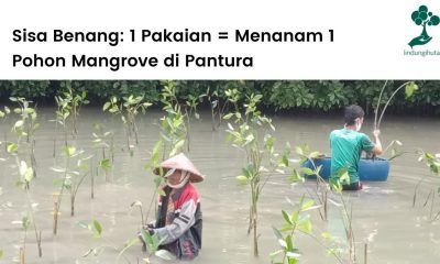 Sisa Benang dan LindungiHutan berkolaborasi untuk menanam ratusan mangrove.