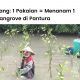 Sisa Benang dan LindungiHutan berkolaborasi untuk menanam ratusan mangrove.