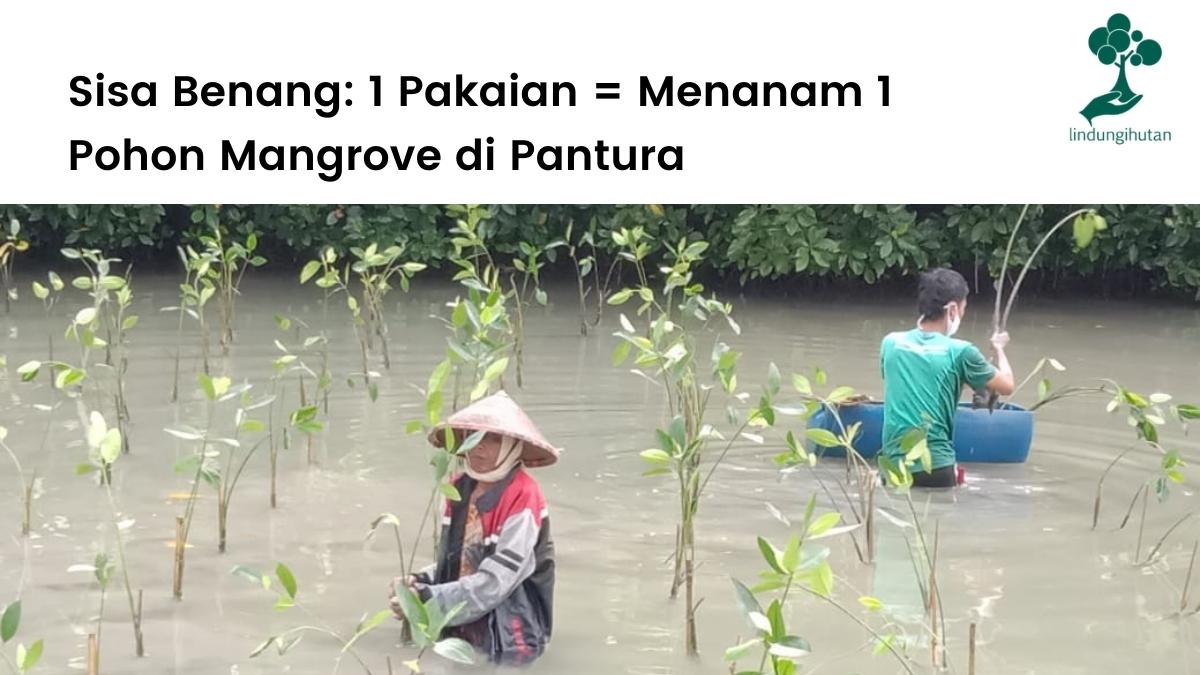 Sisa Benang dan LindungiHutan berkolaborasi untuk menanam ratusan mangrove.