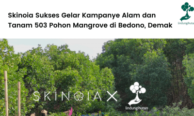 Skinoia Sukses Gelar Kampanye Alam dan Tanam 503 Pohon Mangrove di Bedono (2).