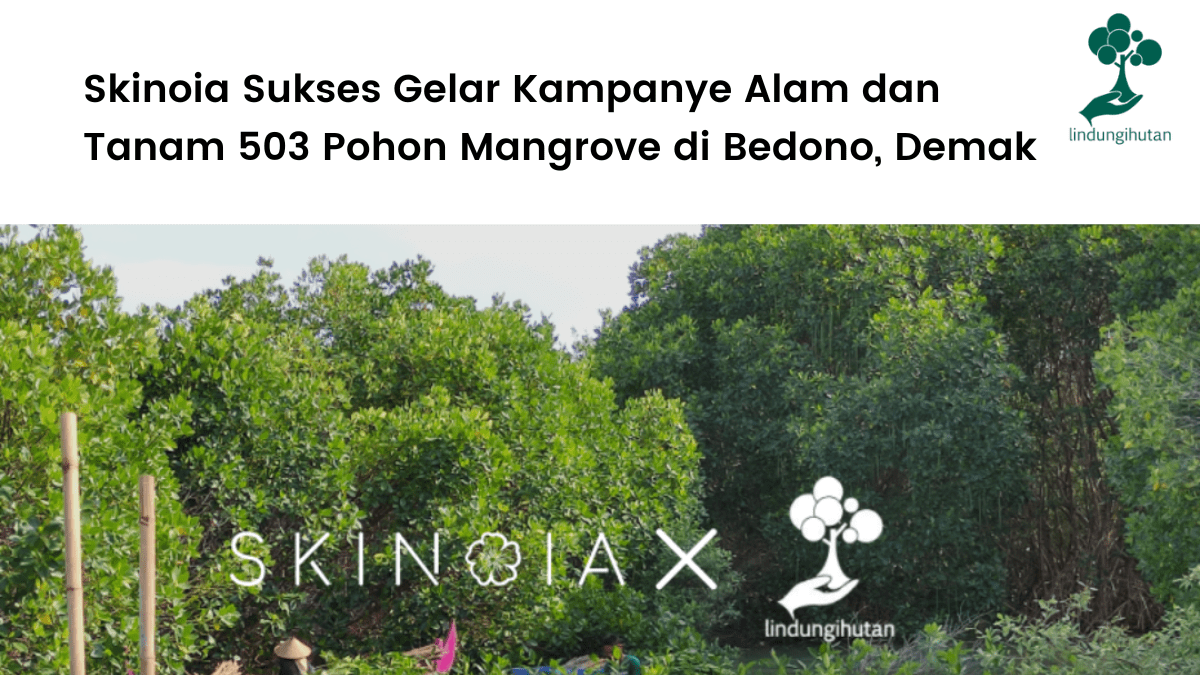 Skinoia Sukses Gelar Kampanye Alam dan Tanam 503 Pohon Mangrove di Bedono (2).