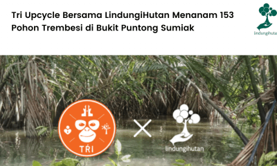 Tri Upcycle Bersama LindungiHutan Menanam 153 Pohon Trembesi di Bukit Puntong Sumiak.