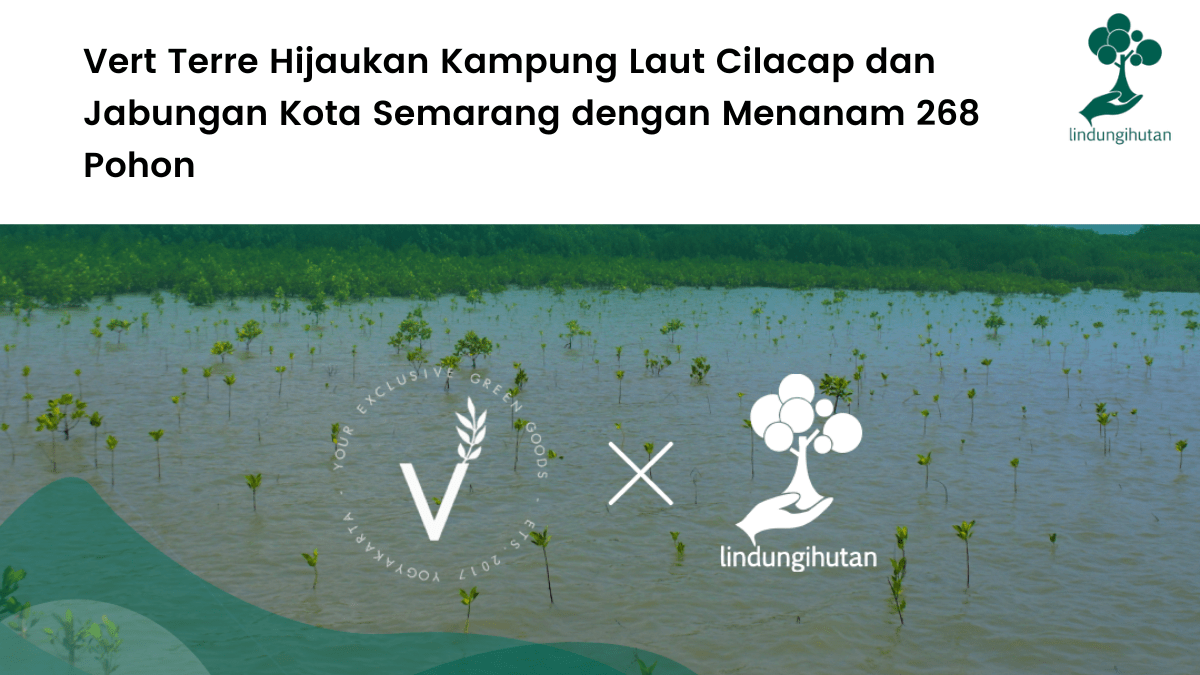 Vert Terre Hijaukan Kampung Laut Cilacap dan Jabungan Kota Semarang dengan Menanam 268 Pohon.