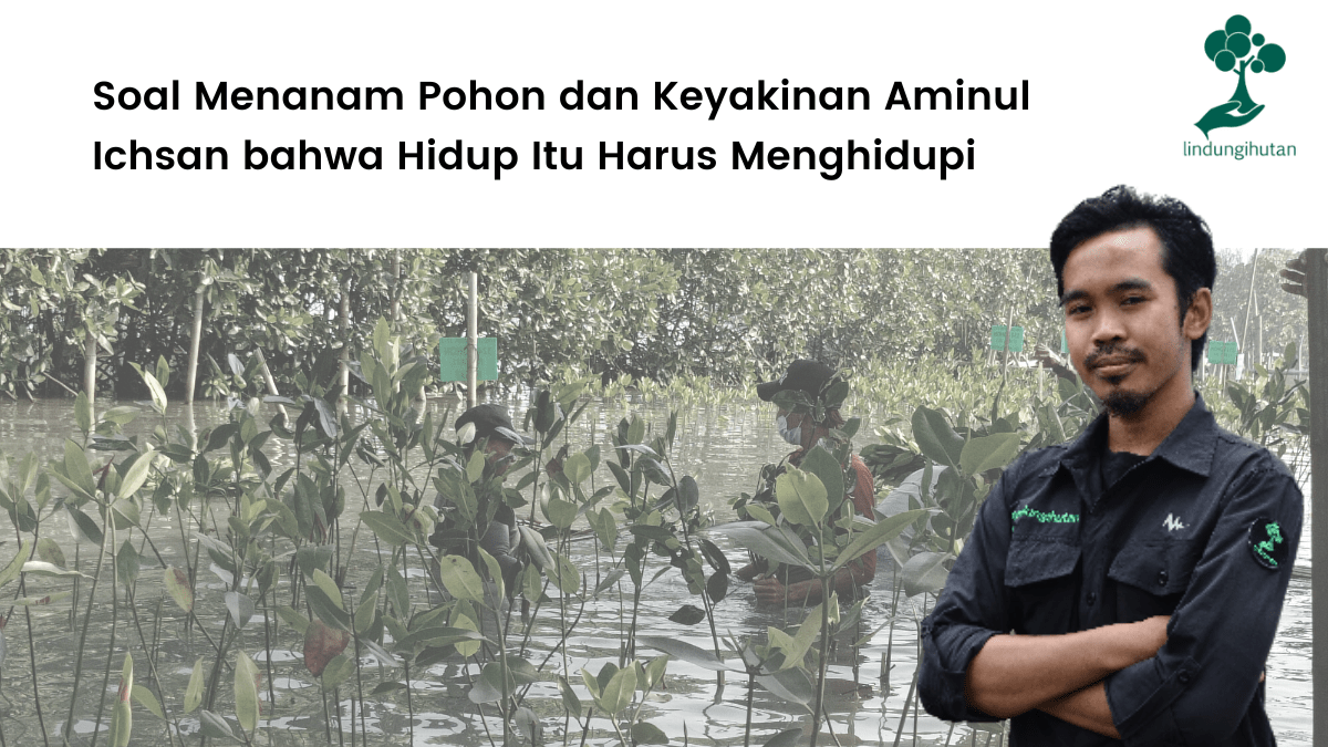 Soal Menanam Pohon dan Keyakinan Aminul Ichsan bahwa Hidup Itu Harus Menghidupi.