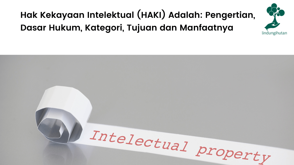 Penjelasan mengenai hak kekayaan intelektual.